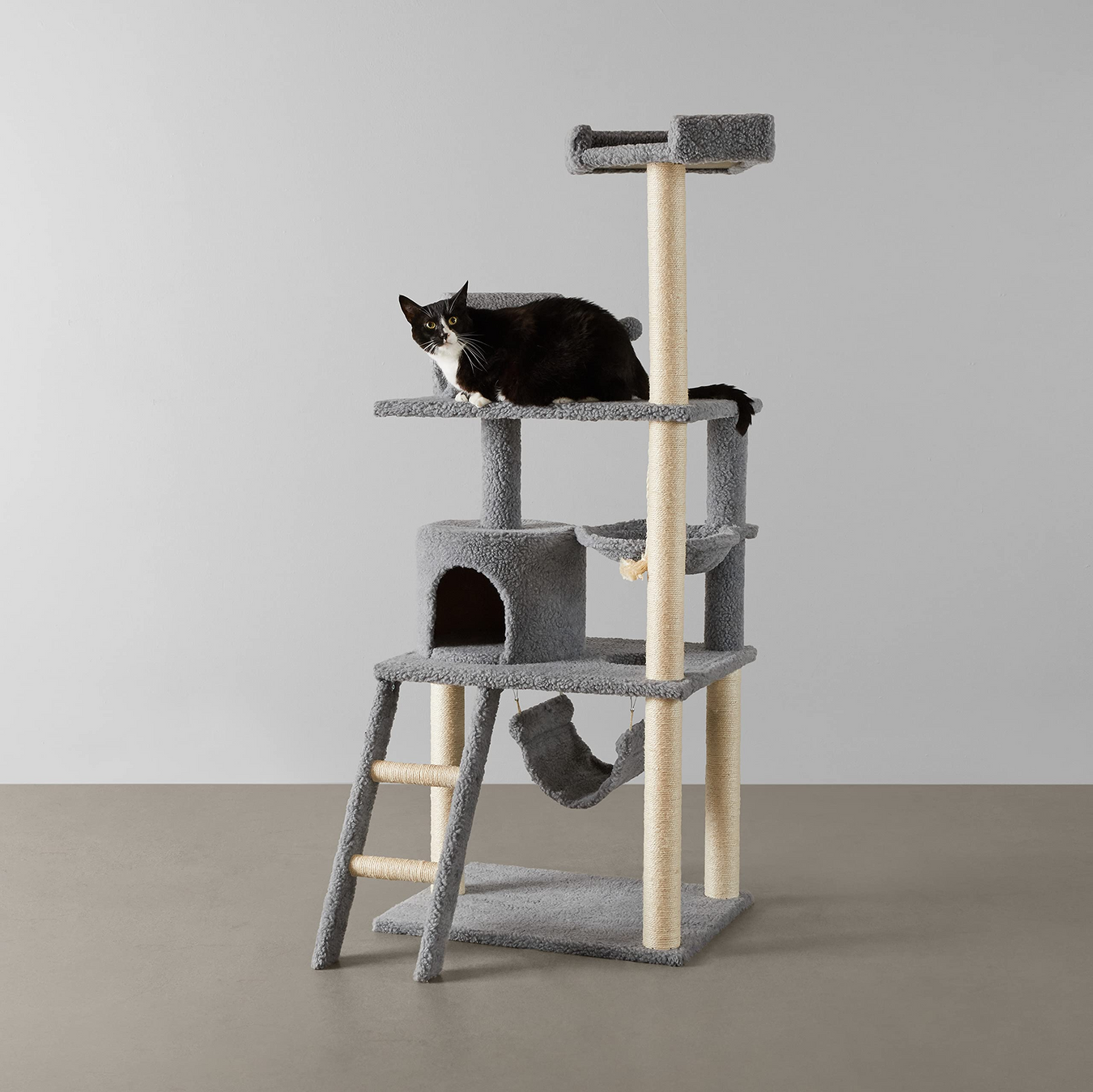 Pet Supplies